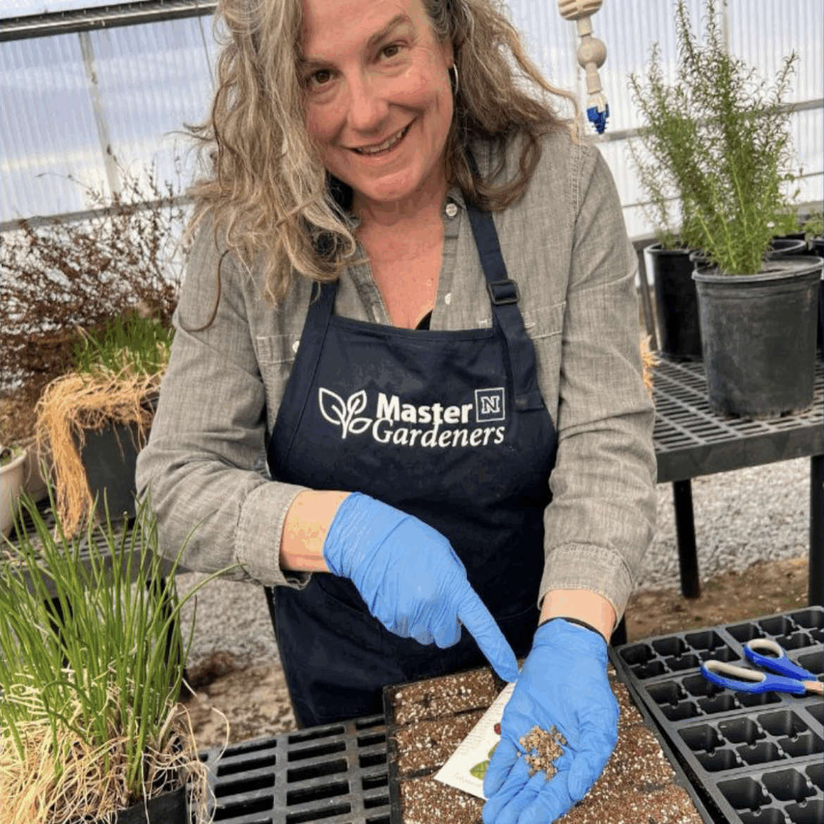 Master Gardners host Pollinator Plant Sale Saturday at Carson City Community Garden